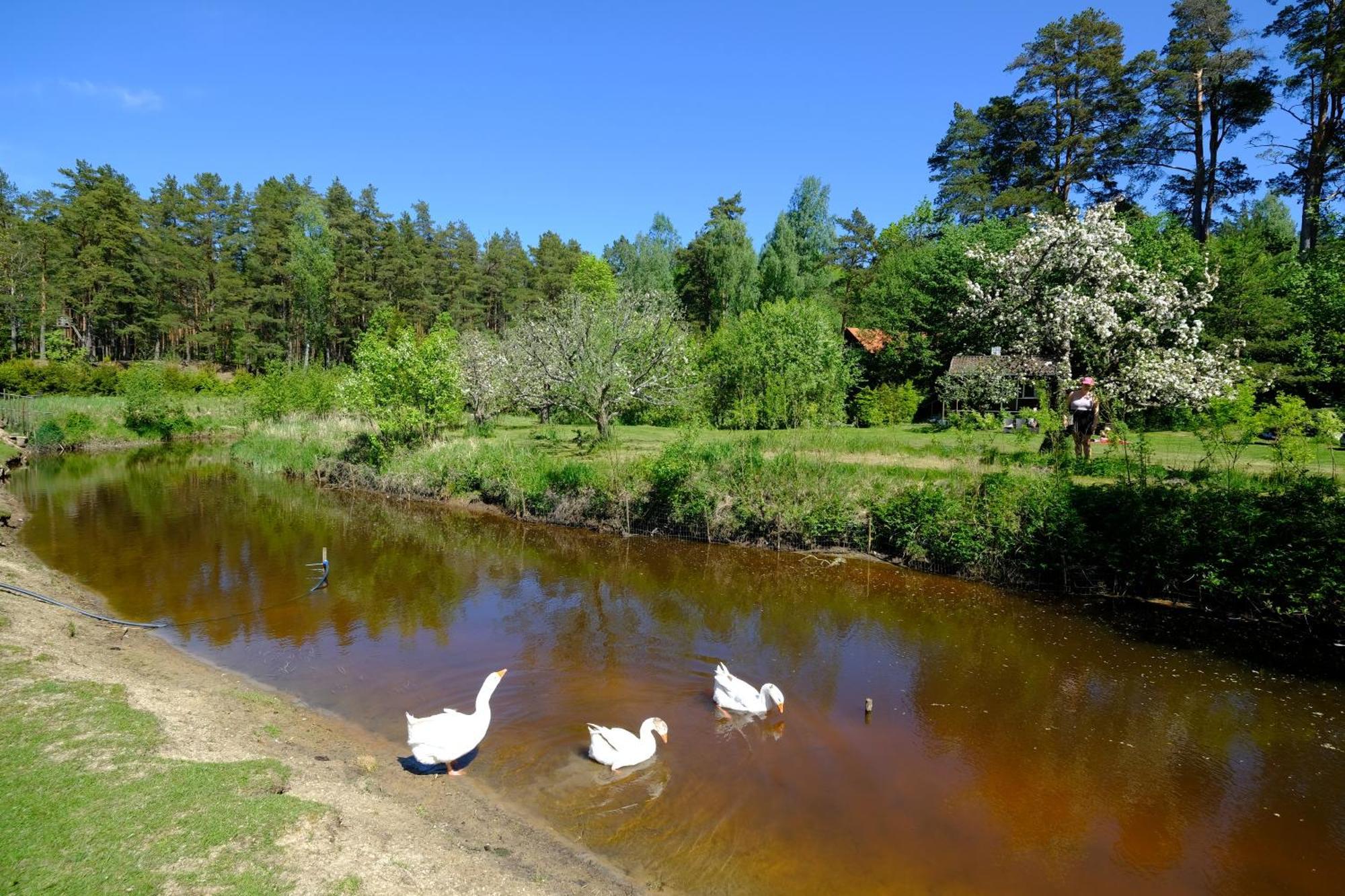 Kallaste Talu- Turismitalu & Holiday Resort Padise Екстер'єр фото